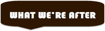 角丸四角形吹き出し: WHAT WE’RE AFTER