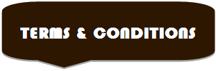 角丸四角形吹き出し: TERMS & CONDITIONS
